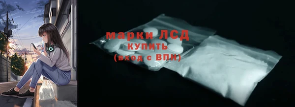 гидра Заводоуковск