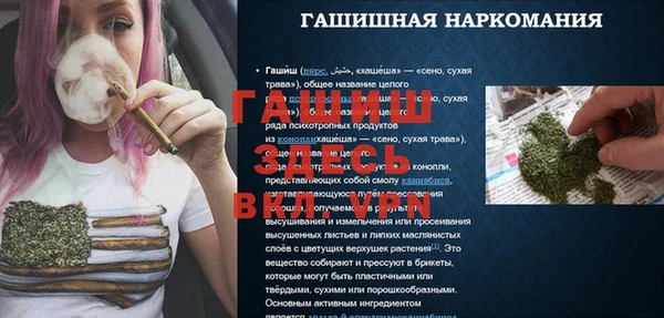 гидра Заводоуковск
