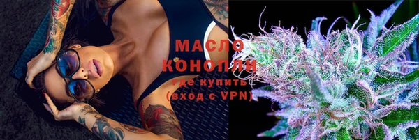 гидра Заводоуковск